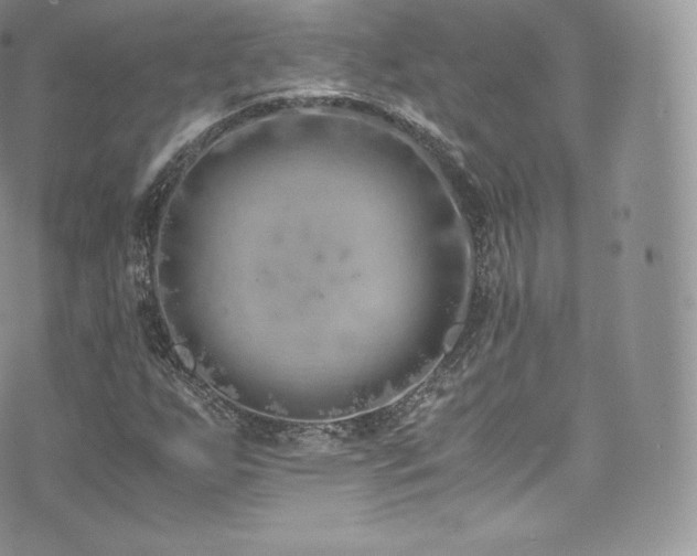 X0000073901255200608111121