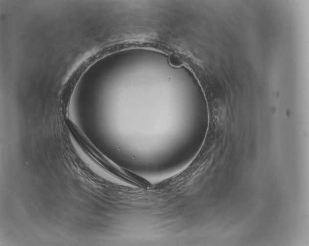 X0000073901256200608111121