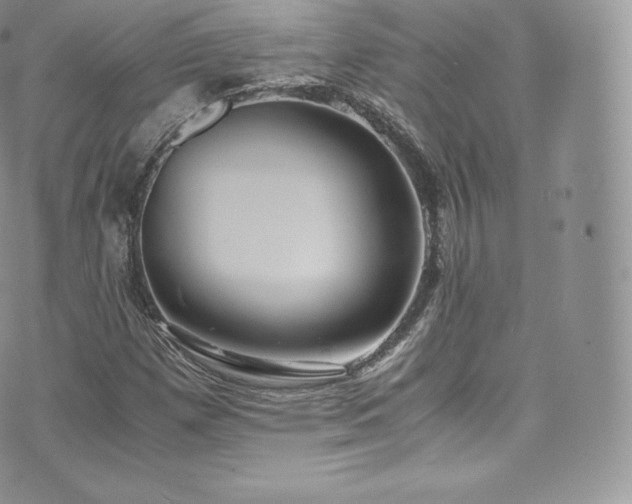 X0000073901257200608111121