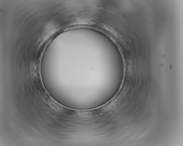 X0000073901258200608111121