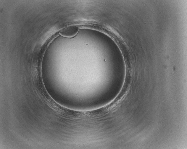 X0000073901259200608111121