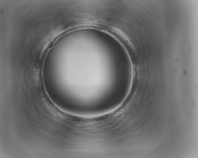 X0000073901260200608111121