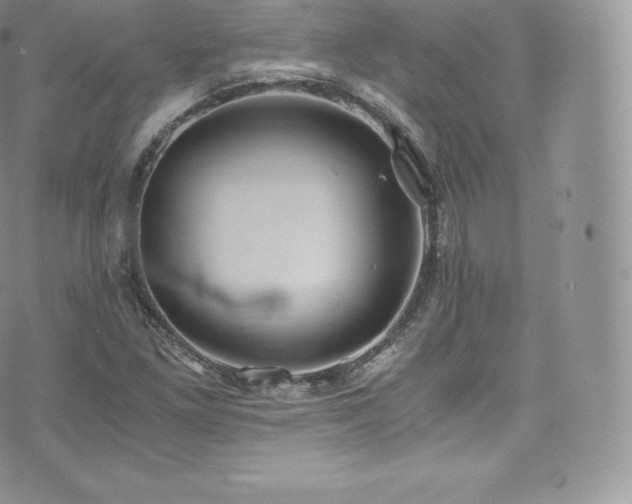 X0000073901261200608111121