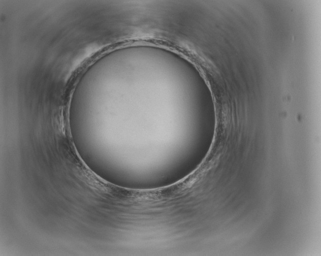 X0000073901262200608111121