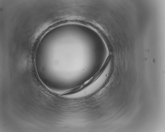 X0000073901263200608111121