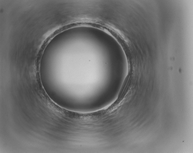 X0000073901264200608111121