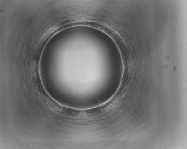 X0000073901265200608111121