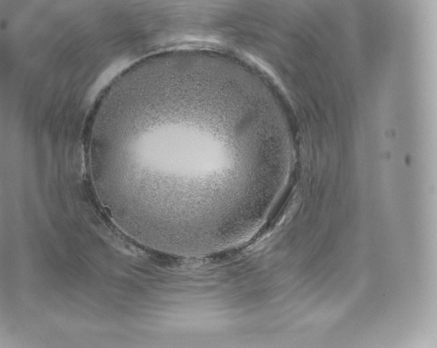 X0000073901267200608111121