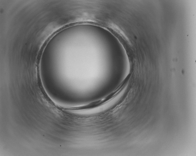 X0000073901268200608111121