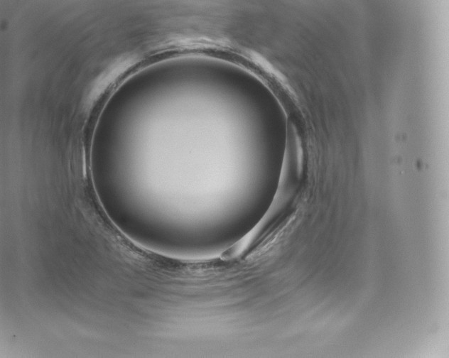 X0000073901269200608111121