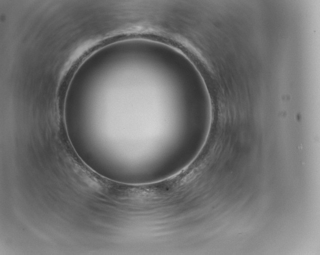 X0000073901270200608111121