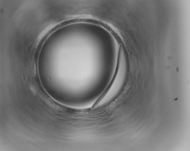 X0000073901271200608111121