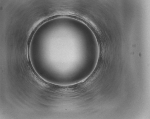 X0000073901272200608111121