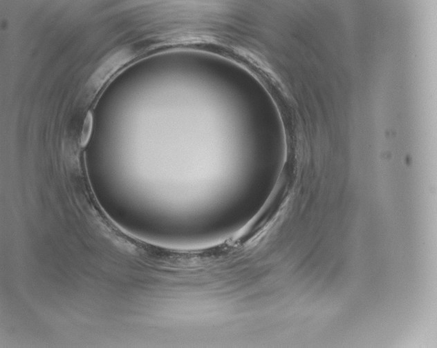 X0000073901273200608111121