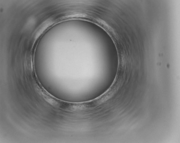 X0000073901274200608111121