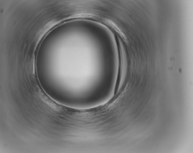 X0000073901276200608111121