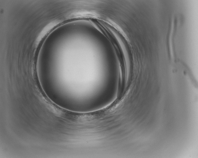 X0000073901277200608111121