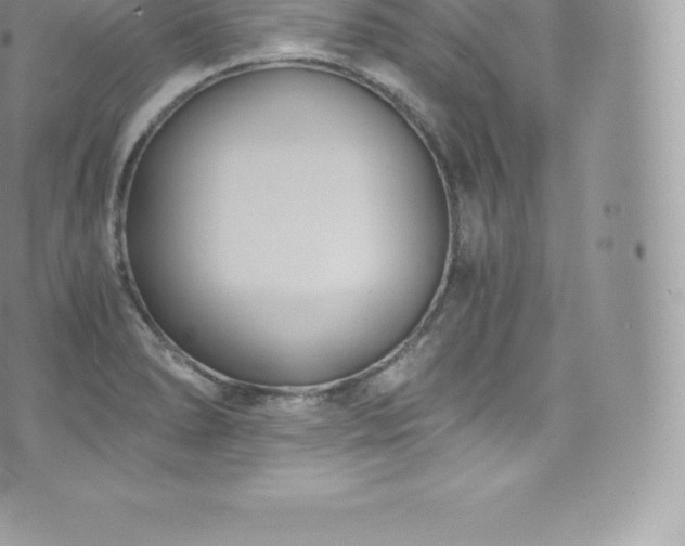 X0000073901278200608111121