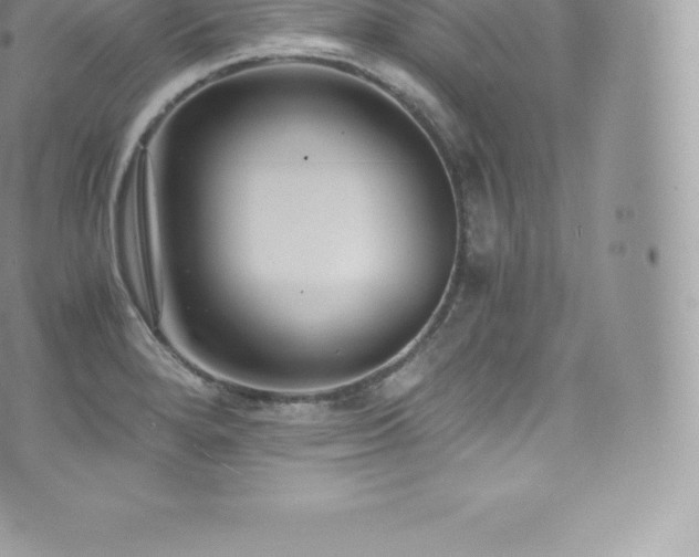 X0000073901280200608111121