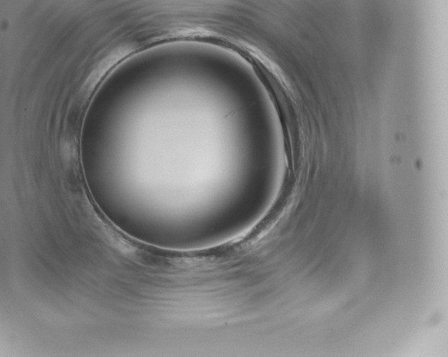 X0000073901281200608111121