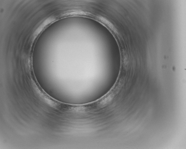 X0000073901282200608111121