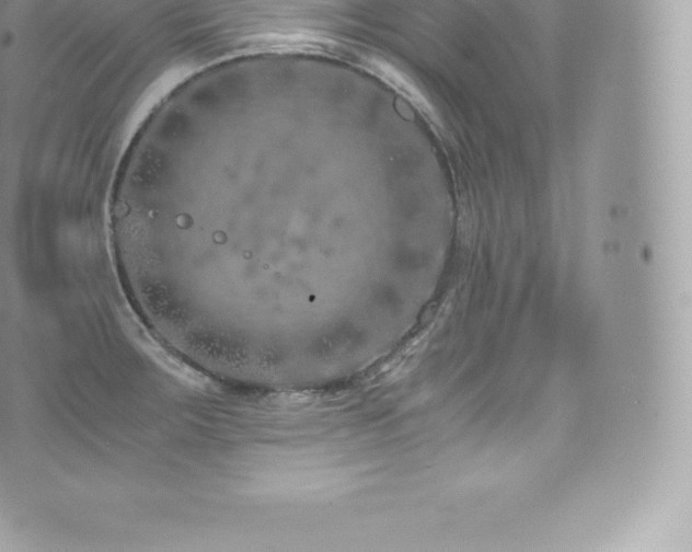 X0000073901283200608111121