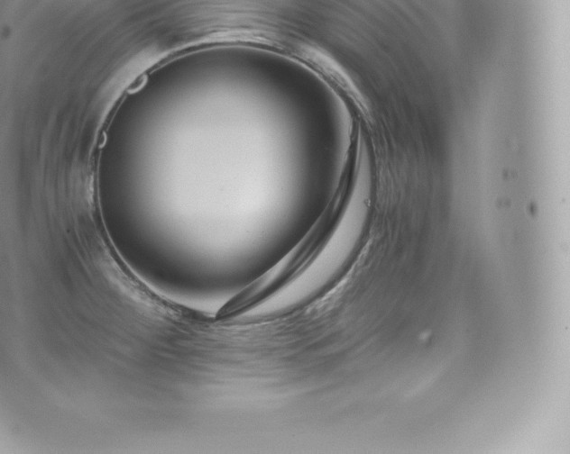 X0000073901284200608111121