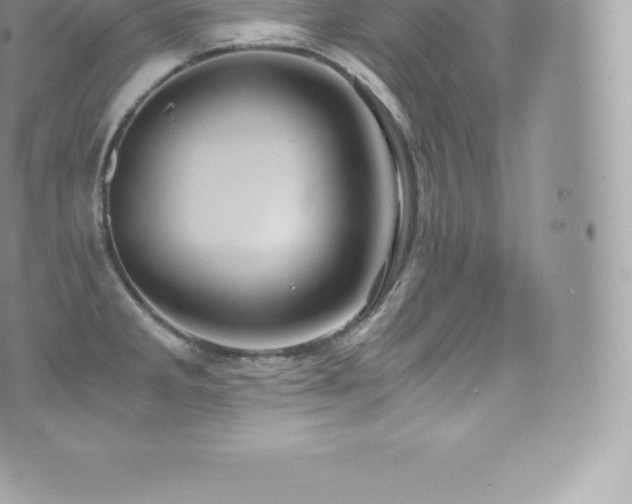 X0000073901285200608111121