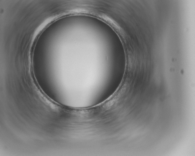 X0000073901286200608111121