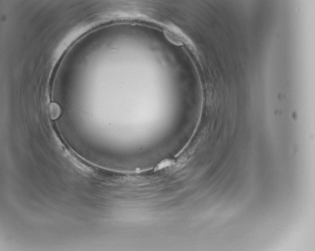 X0000073901287200608111121