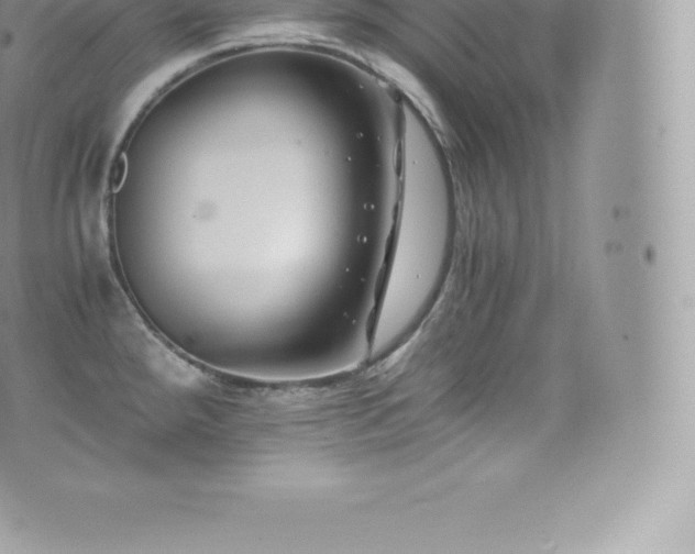 X0000073901288200608111121