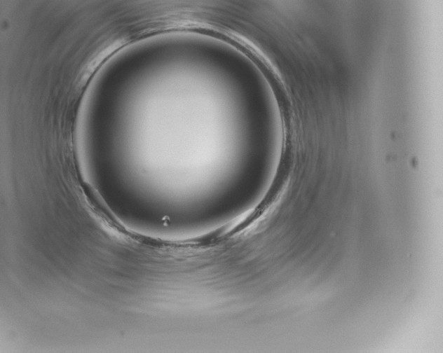 X0000073901289200608111121