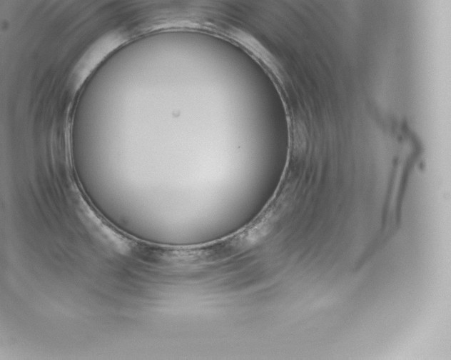 X0000073901290200608111121