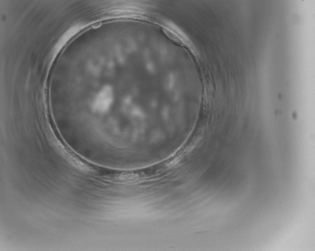 X0000073901291200608111121