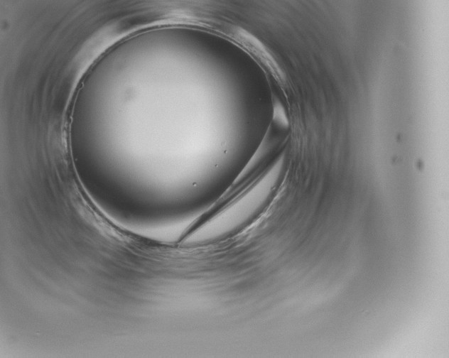 X0000073901292200608111121