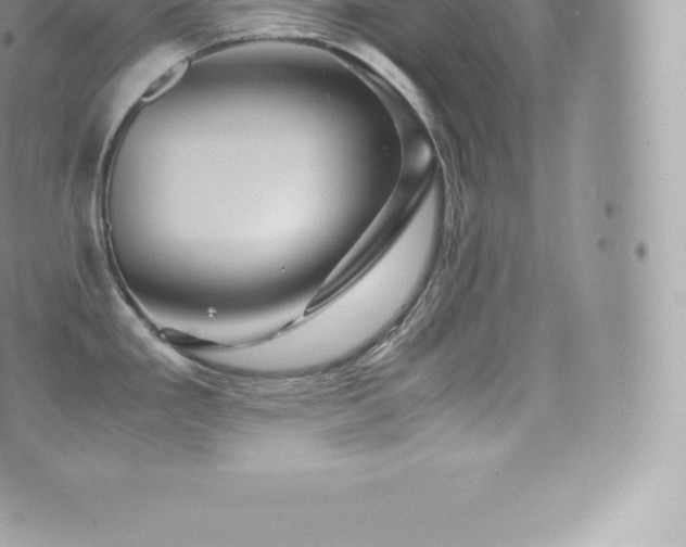 X0000073901293200608111121