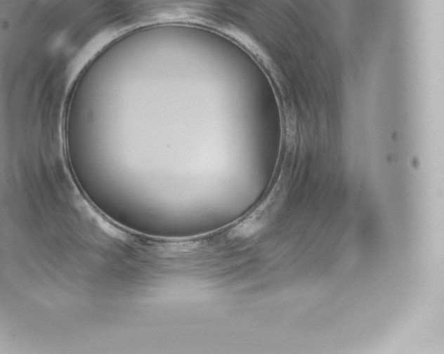 X0000073901294200608111121