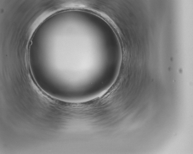 X0000073901295200608111121