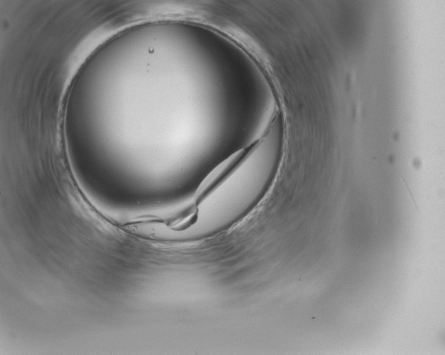 X0000073901296200608111120