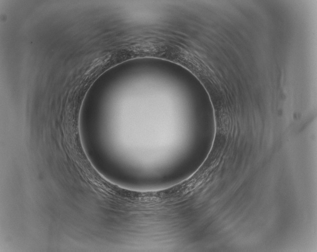 X0000073901297200608111120