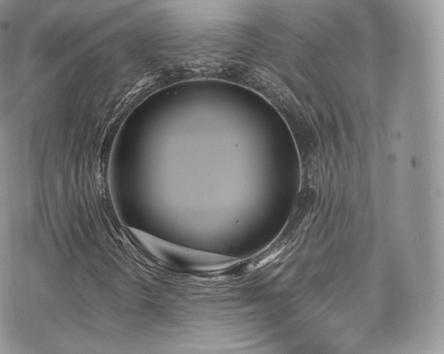 X0000073901298200608111120