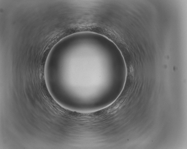 X0000073901300200608111120