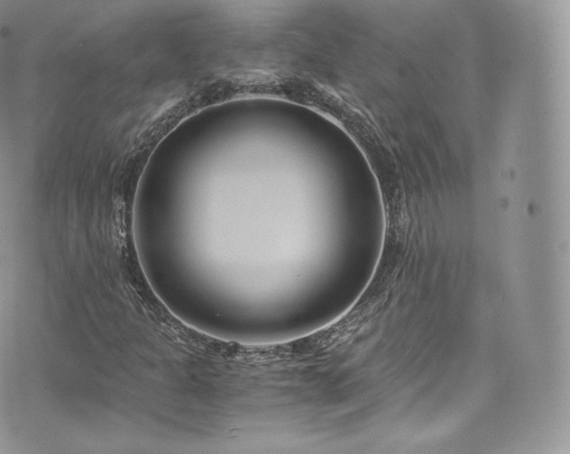 X0000073901301200608111120