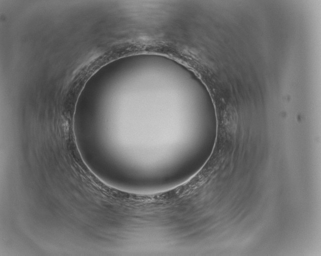 X0000073901302200608111120