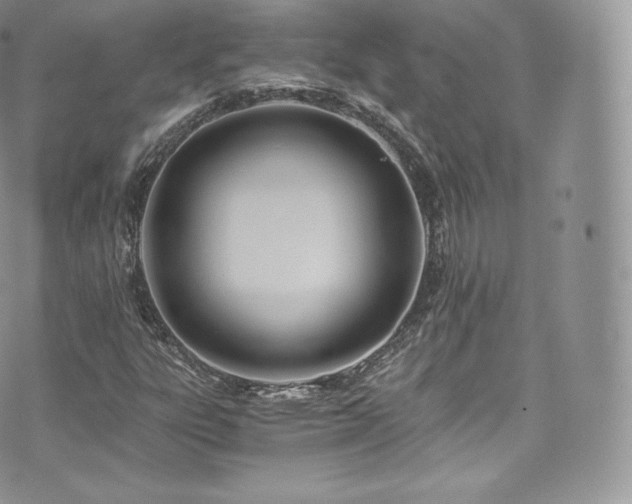 X0000073901303200608111120