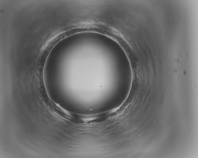 X0000073901304200608111120