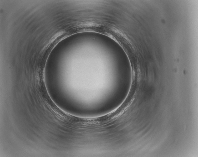 X0000073901305200608111120