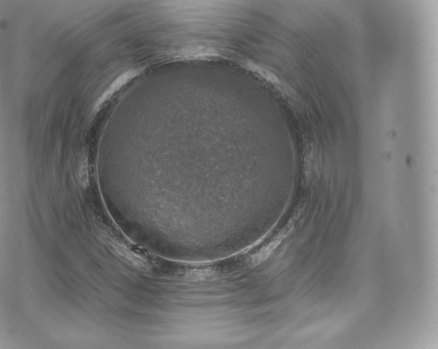 X0000073901306200608111120