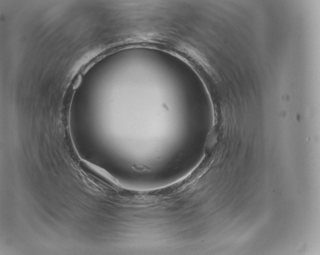 X0000073901308200608111120