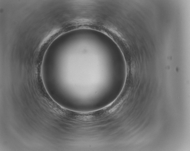 X0000073901309200608111120